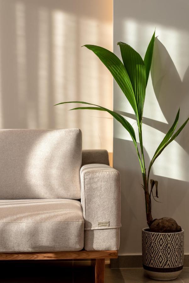 Soleado Villa Chania 干尼亞 外观 照片